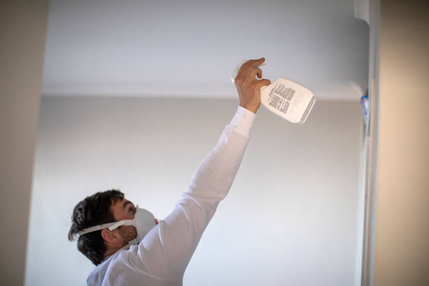 Reliable New Albany, OH Mold Remediation Solutions