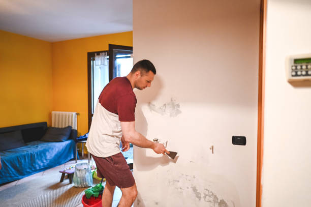 Best Post-Flood Mold Remediation in New Albany, OH